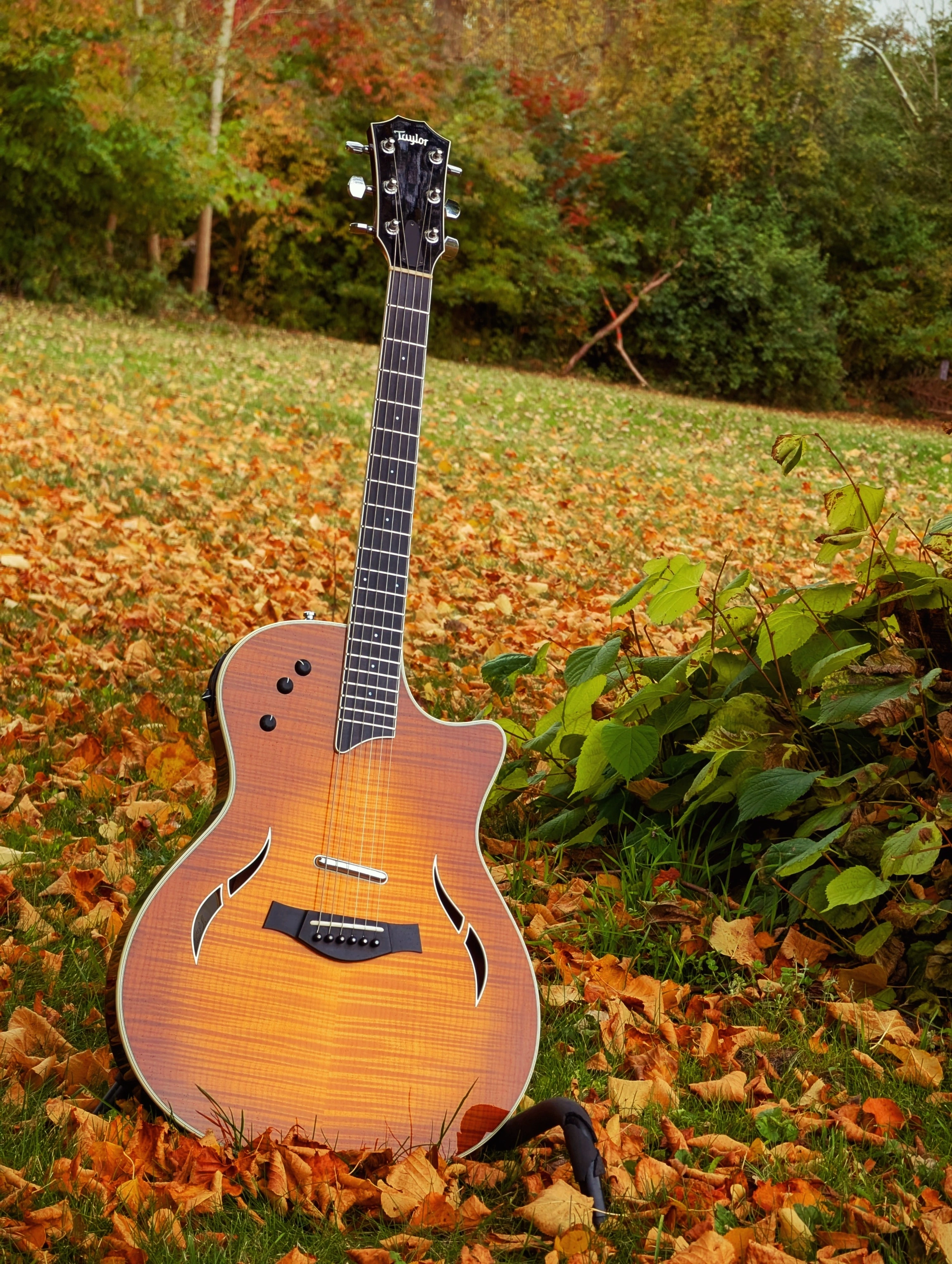 Taylor T5-S1